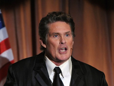 The Hoff Will Be Heard