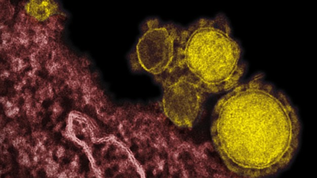 New Middle East Virus Spread in Hospitals