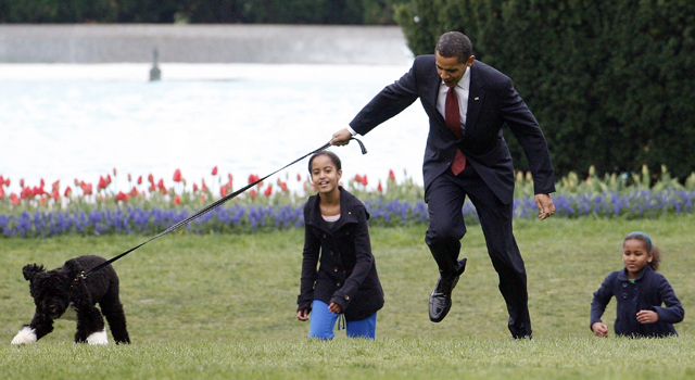 Meet First Dog Bo'bama