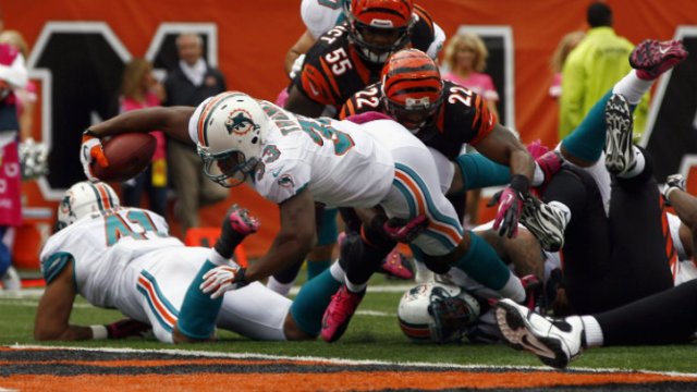 Dolphins Beat Bengals 17-13