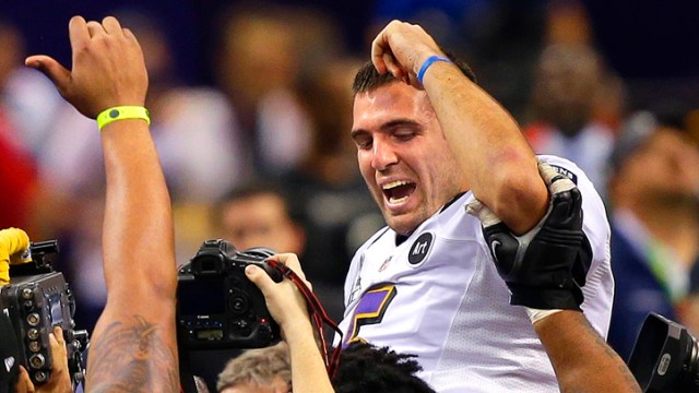 Wild Super Bowl Scene XLVII