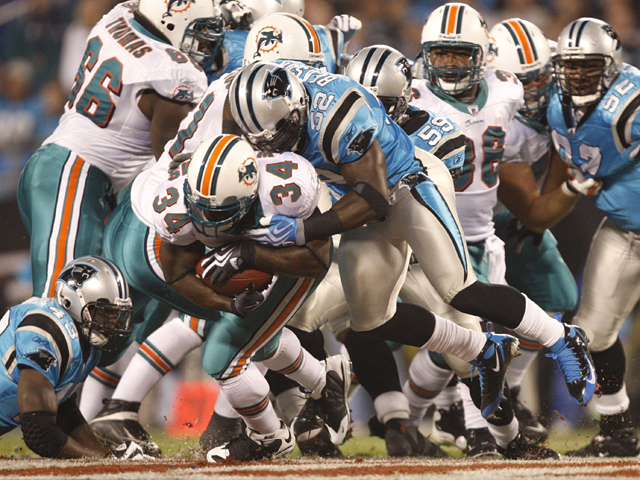 Dolphins Slug It Out at Carolina