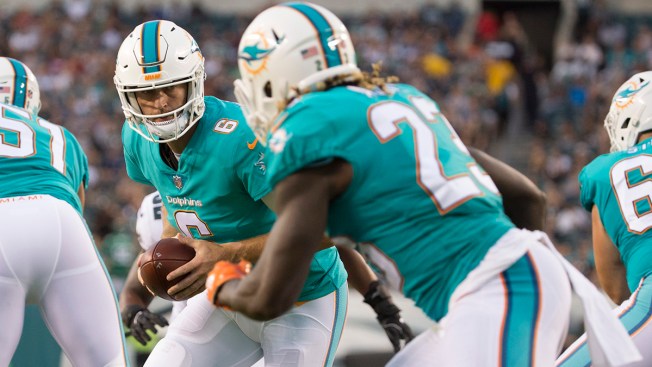 Jay Cutler throws first TD as member of Dolphins
