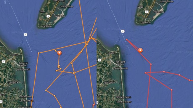 Shark with Twitter account detected off New Jersey coast