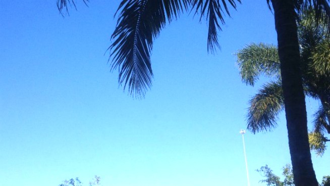 Partly sunny with easterly breezes.