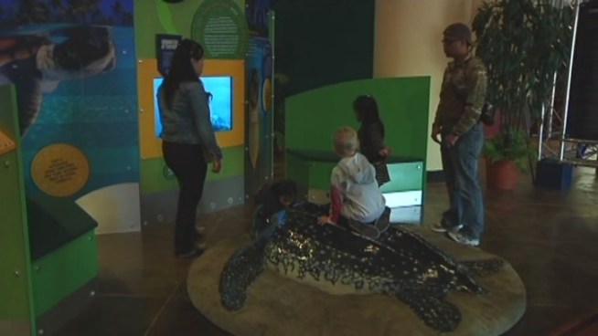 Zoo Miami's Ron Magill says kids will love the National Geographic exhibit. Diannie Fonseca said she loves taking her daughter to the zoo.