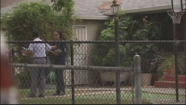South Floridians gave mixed reviews of Postmaster General Patrick Donahoe's announcement that the U.S. Postal Service is cutting Saturday mail delivery and pickup. Customers Yvette McDonald, Joan Malgrat, Zach Farley and Monica Robinson gave their opinions.