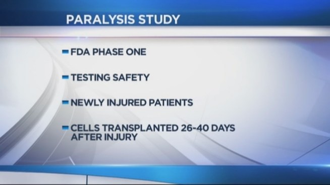 New research on human patients will begin soon at the Miami Project to Cure Paralysis. The project's Marc Buoniconti, his father Nick, and researcher Mary Bartlett-Bunge talk about what's coming up.