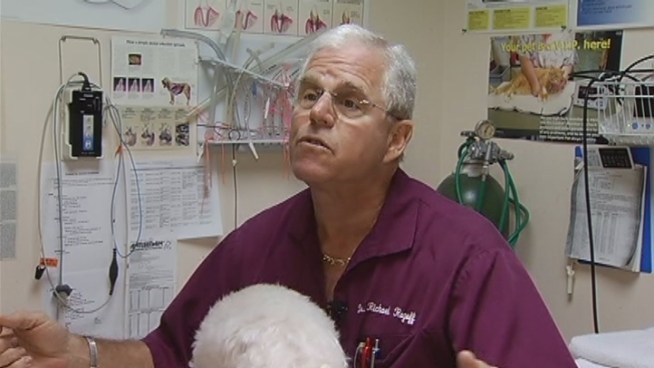 Many may find the sound of the rain soothing, but some may not know what else the rain brings. Chalmers Vasquez, of the Miami-Dade Mosquito Control, talks about the changes caused by the rain.