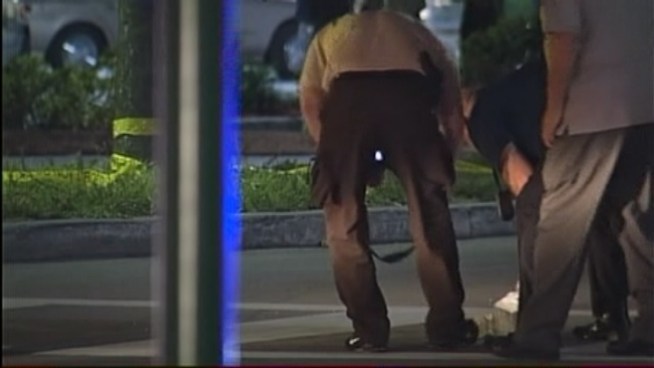 An elderly woman who was walking home from the grocery store was struck and killed by a Miami-Dade County bus in Aventura Thursday night, relatives said. She was later identified as 84-year-old Barbara Rubenstein. Her son-in-law talks about the incident.