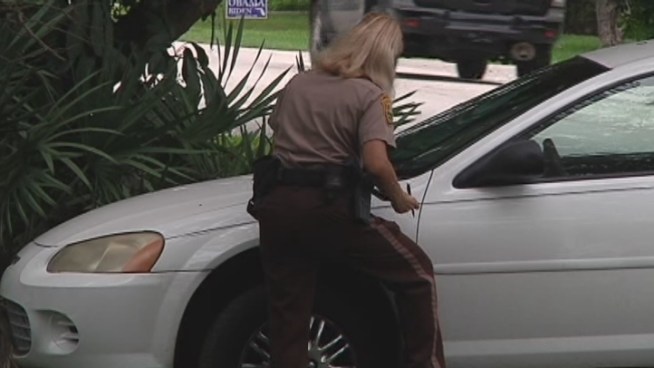 Miami-Dade Police searched a Palmetto Bay neighborhood with a helicopter and K-9 s Sunday after dog-sitters said they caught two men burglarizing a home. Kathy Hudson said her niece and nephew walked into the house on SW 72nd Court to dog-sit   but quickly realized someone besides the pets was in the house.