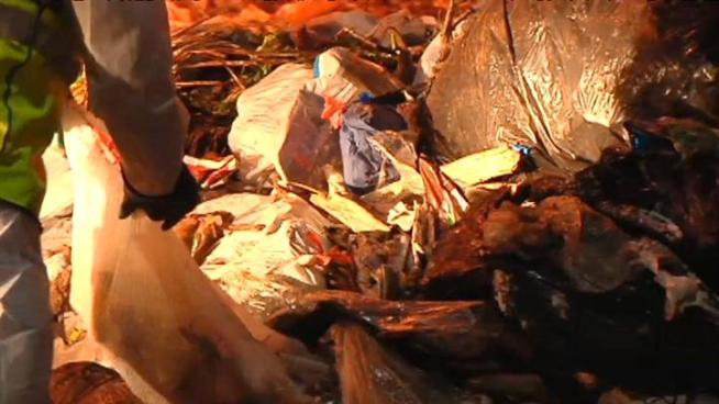 Brian McGuinn searched through a mountain of trash after accidentally throwing out wife Anna's engagement ring.