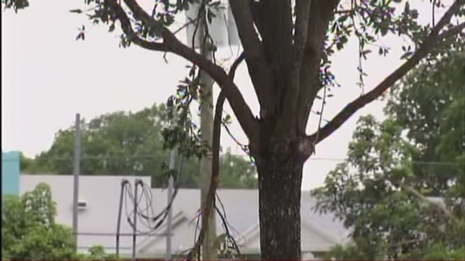 A four-seater plane made an emergency landing in Cooper City Saturday afternoon, officials said. No one was injured. Resident Steve Romney saw it all happen and described the incident. Pembroke Pines Fire Department spokesman Tom Gallagher tells reporters how the incident unfolded. 