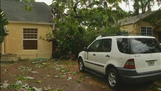 A tree slammed into a home and a man's car wheile he was on his way to work in South Miami Monday in the wake of Tropical Storm Isaac.