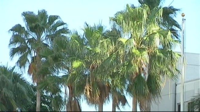 At a meeting Thursday, advertising executive Jordan Zimmerman suggested inviting an independent researcher to find out what kind of impact branding Broward County with a new name might have. Fort Lauderdale resident Bill Erdman and Hal Garwood, a visitor from Iowa, also spoke about the issue.