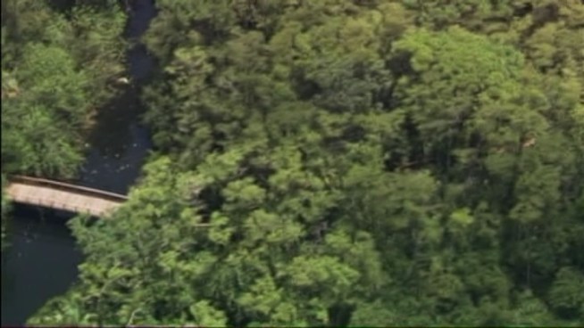 Police have confirmed that the badly decomposed body found in a Coconut Creek park Thursday belongs to a Coral Springs woman who went missing in March.