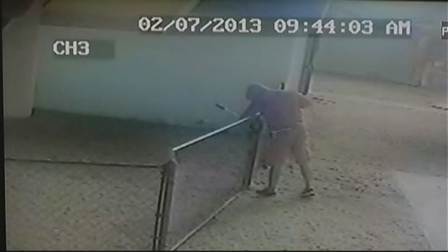 Surveillance cameras were rolling outside the Cutler Bay home of Yasmany Beitra Thursday morning. They caught a purple-hoodie wearing thief make off with Beitra's $14,000 jet ski.