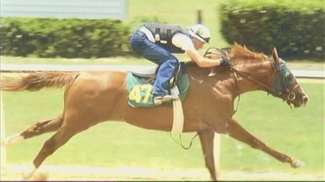 Workers at a Southwest Ranches fish farm found the remains of a slaughtered horse on the property line of the business, the Broward Sheriff s Office said.
