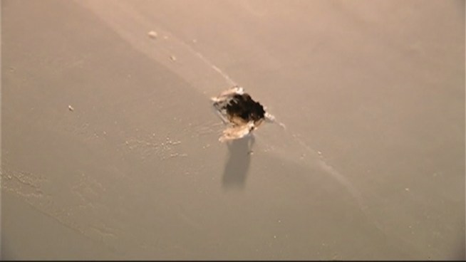 Residents of the the Haley Sofge Towers are supposed to be enjoying their golden years   but many of them say it's rough living at the apartment complex. Efron Cotero said said his respiratory problems developed since he moved in years ago. Julio Perez from Fast Inspector Services said the mold in Cotero's home is unsafe.