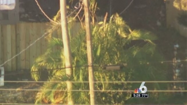 Miami-Dade Police said they found a live grenade at 791 NE 87th St. A robot was on the premises as a bomb squad responded. Police said they planned to blow up the grenade.