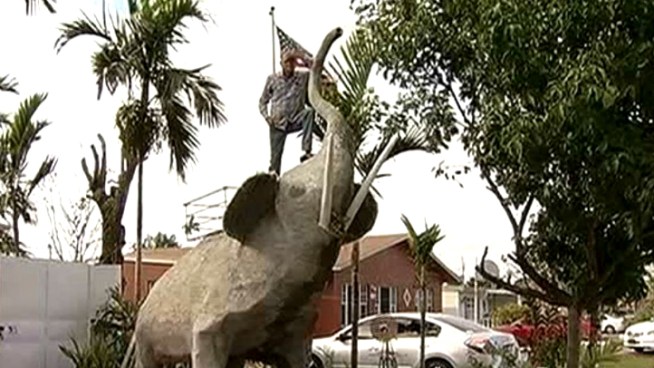 A man has built and placed a giant elephant structure that doubles as a fountain outside his home in Southwest Miami-Dade. NBC 6 reporter Christina Hernandez has the story.
