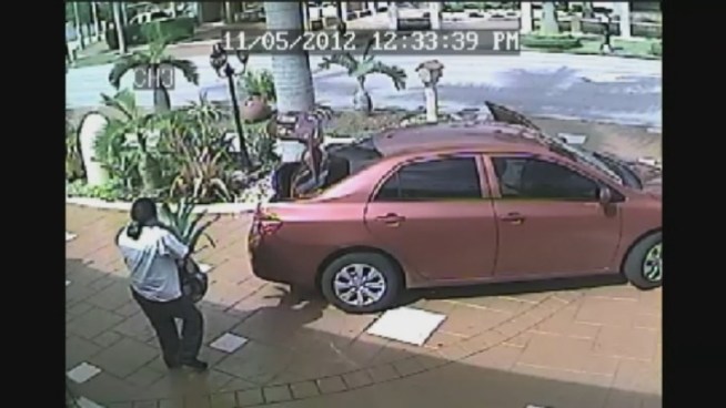 Police say a pair of frog pot thieves were caught on surveillance video in Miami.