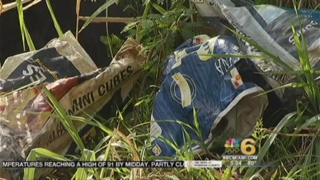 Authorities found horse remains in Miami.