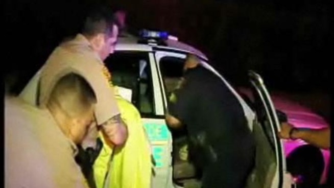 A baby deer found injured on the side of the road in Miami-Dade gets a ride to the hospital by some police officers.