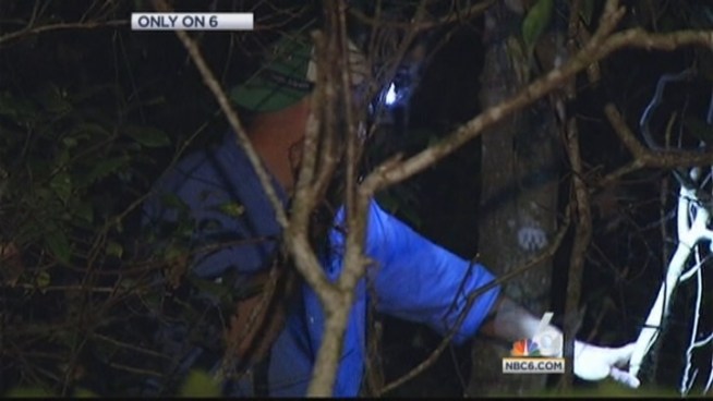Michael Kordsmeier may look like your typical python hunter, but you might be surprised by his day job. NBC 6 anchor Jawan Strader has the story.