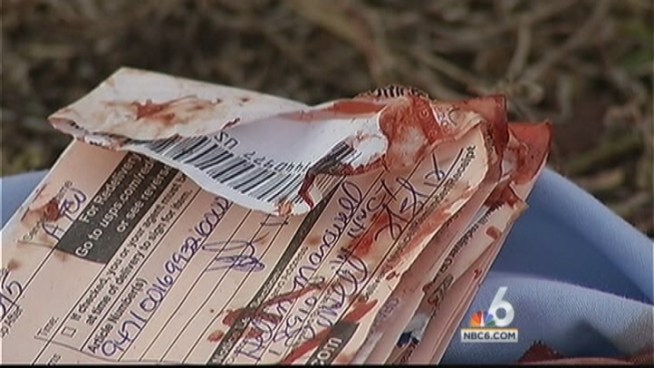 Two American bulldogs jumped a fence and attacked a female postal letter carrier Tuesday afternoon, officials said. NBC 6 reporter Steve Litz has the story.