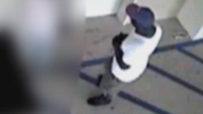 Authorities are looking for the man responsible for robbing an elderly woman and pushing her to the ground in her apartment complex in late May. Surveillance footage released Tuesday shows the 81-year-old woman standing by the elevators when the suspect snatches her purse and knocks her down to the floor, injuring her shoulder.