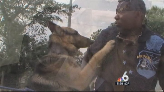Ten months after a German shepherd named Black Jack was stolen from Bob Moreland s Miramar home, the canine is back in his owner's loving arms after a horrifying ordeal. NBC 6 reporter Sharon Lawson has the story.
