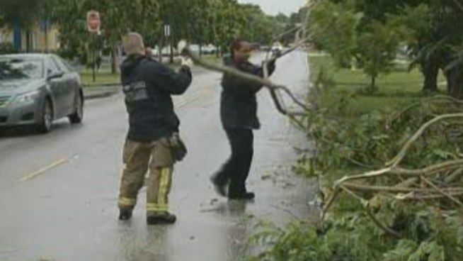 In Cutler Bay on Wednesday a sudden rain storm damaged trees and caused flooding. Twenty minutes of heavy rain, with wind gusts of up to 60 miles an hour and hail caused major damage. Letha Bush speaks about being caught in the storm.