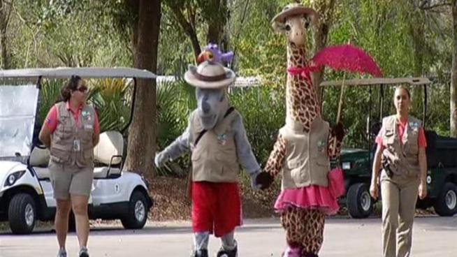 Kids at Zoo Miami met new mascots like Kaz the rhino and Gigi the giraffe.