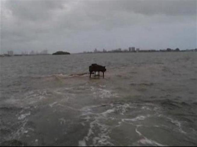The teens who placed a piano on a sandbar in Biscayne Bay talk about why he did it. 