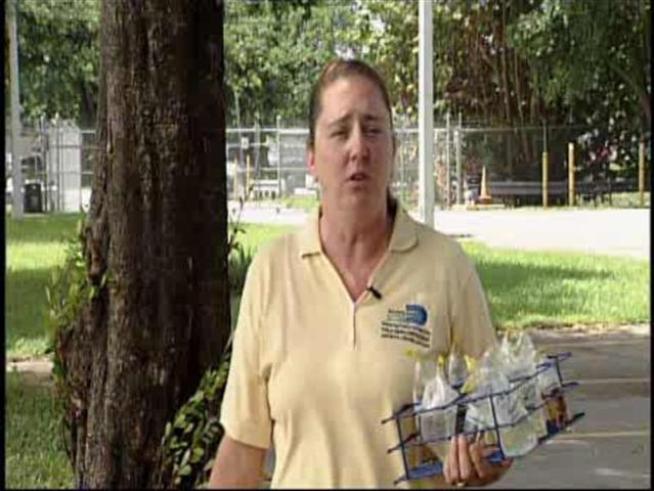 Tips for what homeowners should do to minimize Dengue fever threat.