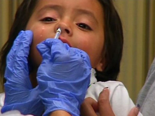 CDC: 84M Americans Battled Swine Flu
