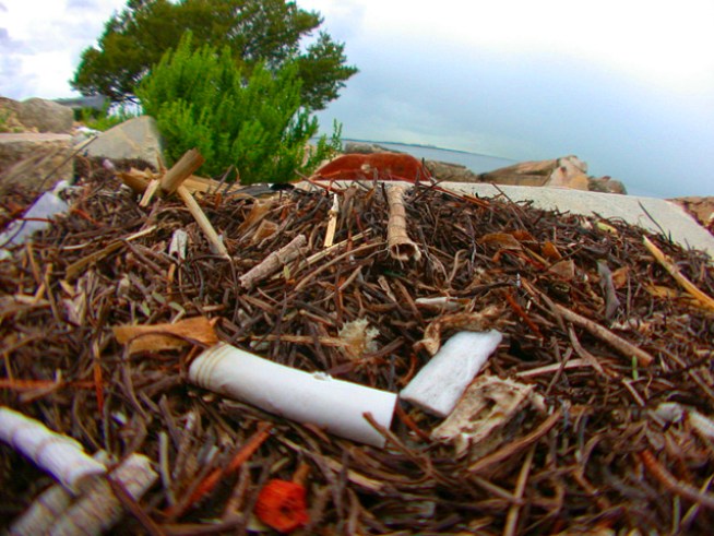 County's Use of Environmental Crime Fund Stinks