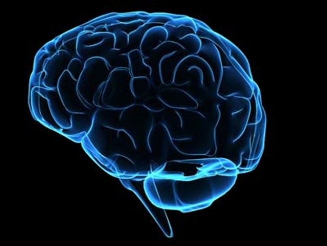 Banking Your Brain