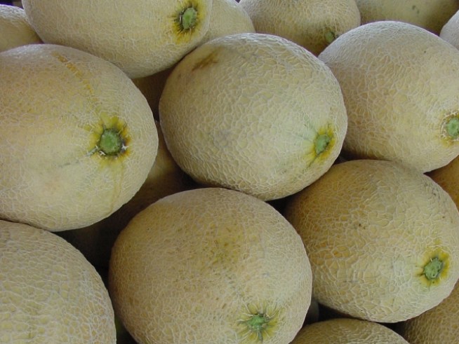 Miami-Bound Melons Busted for Marijuana