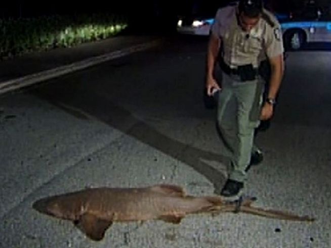 Florida Named Strange News Capital