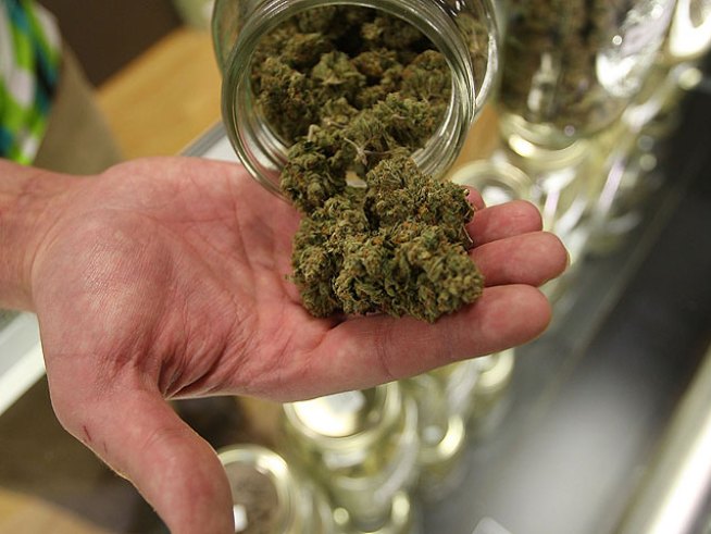 Miami Man Caught With 7 Pounds of Pot