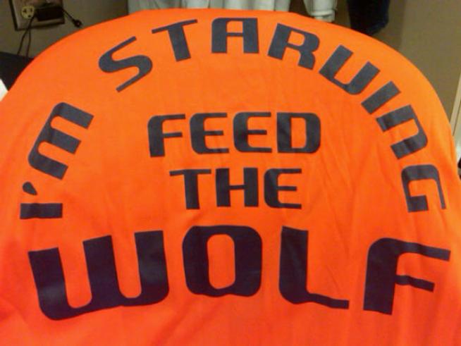 Dolphins "Feeding the Wolf" as Camp Opens