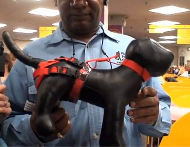 Chastity Belts for Dogs: Yes, They Exist