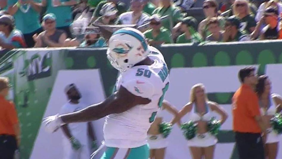 6 Things to Know - Dolphins in London