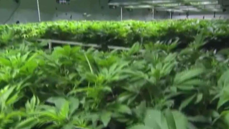 6 Things to Know - Medical Marijuana Lawsuit