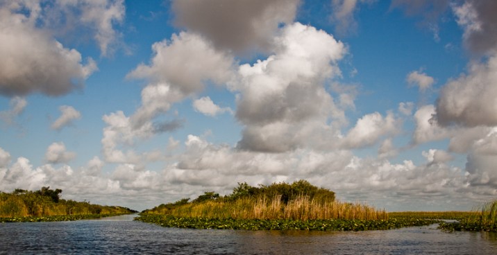 State and federal officials say they're committed to spending $14 billion to restore the Everglades, but the research program that monitors conditions to see if restoration is working is being slashed 71 percent by the state and 40 percent by the Army Corps of Engineers. 