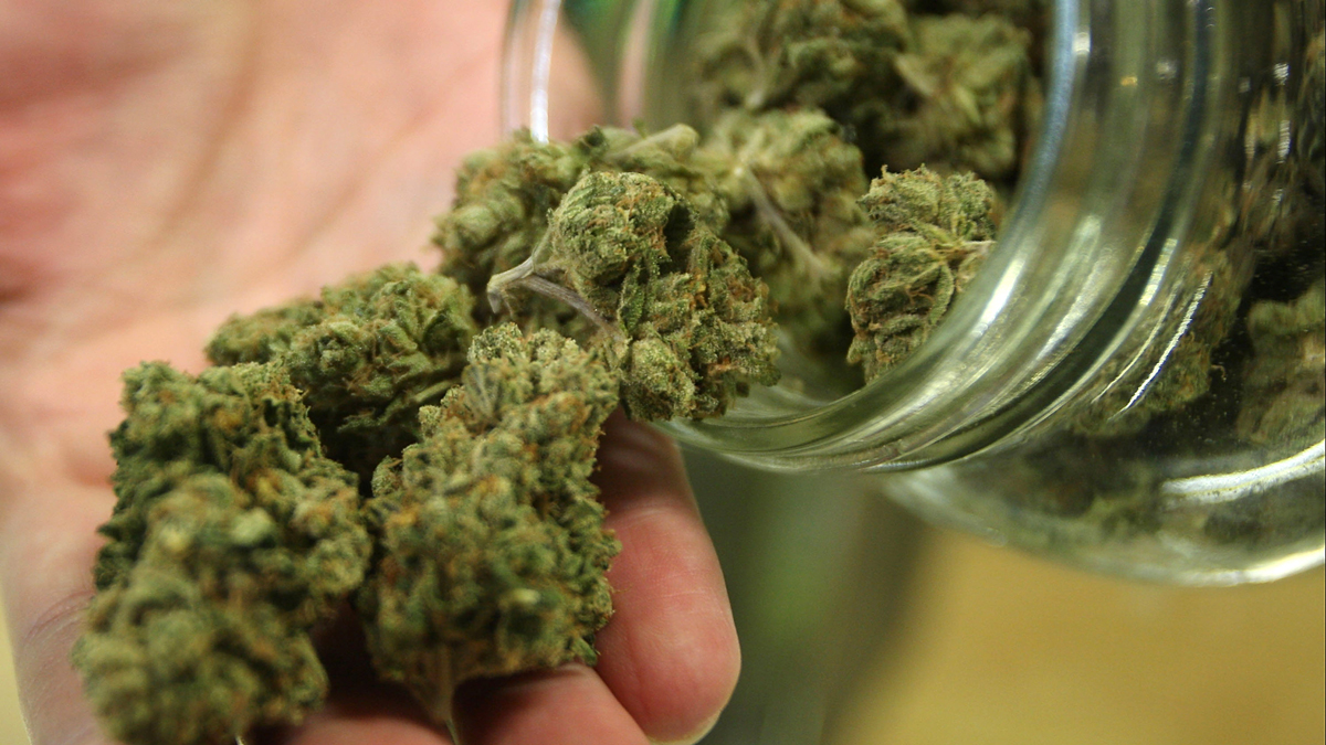 Florida Doctors Weigh Legal Risks of Medical Marijuana