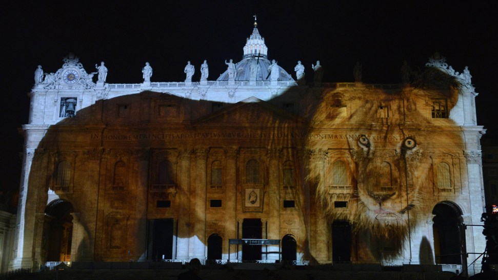 Giant animals light up Vatican for environment show