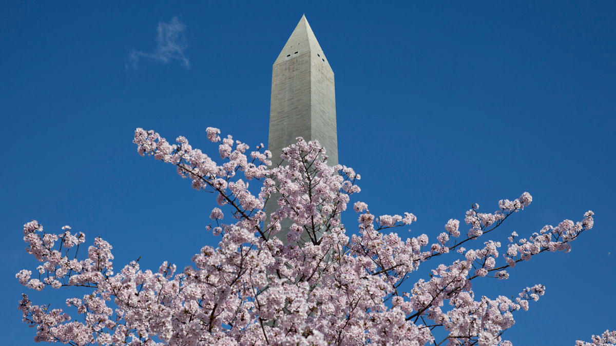 What's Open and Closed for President's Day